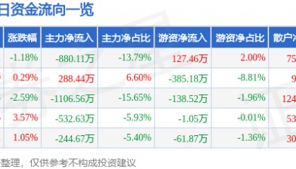 股票行情快报：新农开发（600359）10月31日主力资金净卖出880.11万元