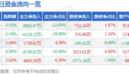 股票行情快报：智度股份（000676）6月13日主力资金净卖出8862.87万元