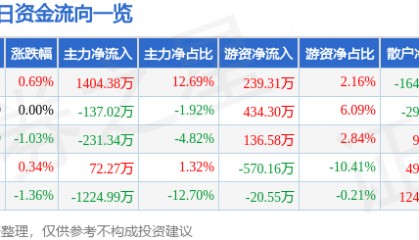 股票行情快报：国创高新（002377）3月21日主力资金净买入1404.38万元