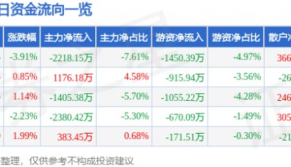 股票行情快报：尔康制药（300267）12月13日主力资金净卖出2218.15万元