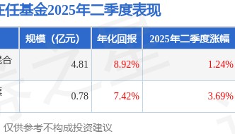 王海青2025年二季度表现，鹏华沪深港互联网股票基金季度涨幅3.69%