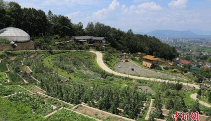 陕西汉中：生态文旅融合 秦岭“冷资源”变“热经济”