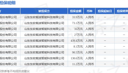 东软载波披露9笔对外担保，被担保方为山东东软载波智能科技有限公司