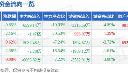股票行情快报：瑞芯微（603893）5月28日主力资金净卖出6599.14万元