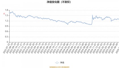 光大保德信创业板股票A：2025年第二季度利润318.34万元 净值增长率2.19%