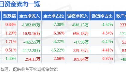 股票行情快报：泰和新材（002254）12月10日主力资金净卖出1382.09万元
