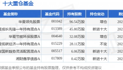 8月1日海优新材涨12.93%，华夏领先股票基金重仓该股