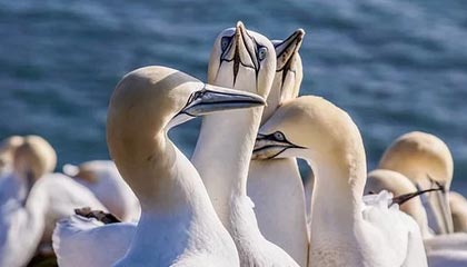 泰和新材:该中试线已经建成投产