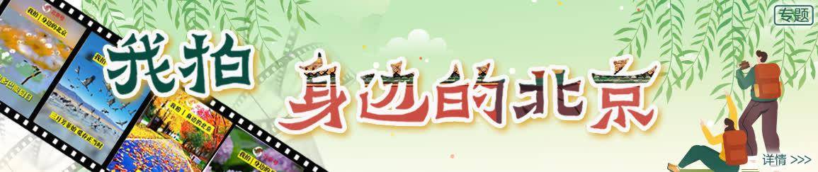 北京日报社区小板报 | 骑乘电动自行车戴头盔或成强制规定